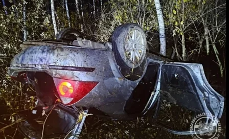 В Томской области три человека попали в больницу после ДТП с медведем