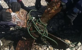 Кемеровские водолазы обнаружили необычную находку в районе новой набережной Томи