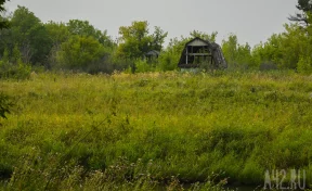 Росреестр напомнил кузбасским дачникам, какие участки у них могут изъять