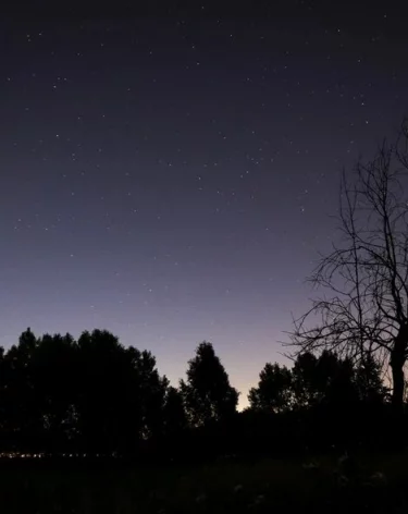 Силы ПВО за ночь сбили 136 БПЛА, из них 46 — в Ростовской области