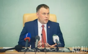 Глава Кемерова рассказал о дополнительных тратах на новогоднюю ель за 18 миллионов