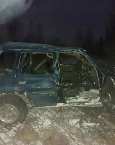 Шесть человек пострадали после опрокидывания машины в кювет в Красноярском крае