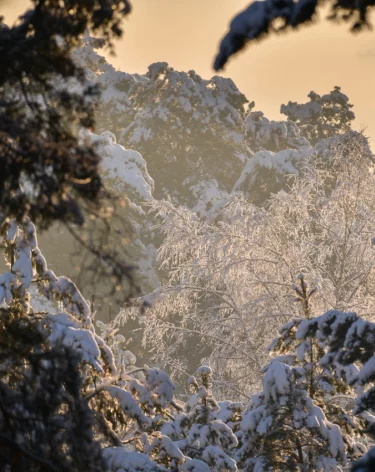 Настасьин день: приметы на 4 января