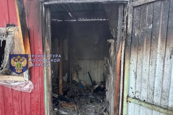 Ребёнок погиб при пожаре в хозяйственной постройке в Подмосковье 