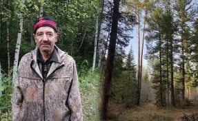 Встретился с медведем: полиция Кузбасса раскрыла подробности поиска пропавшего в тайге мужчины