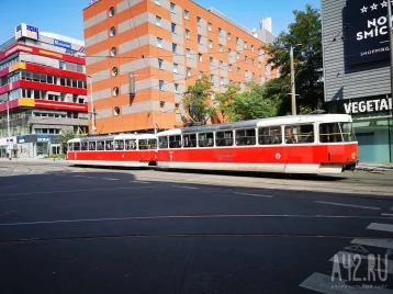 Фото: В Белграде весь общественный транспорт стал бесплатным для жителей 1