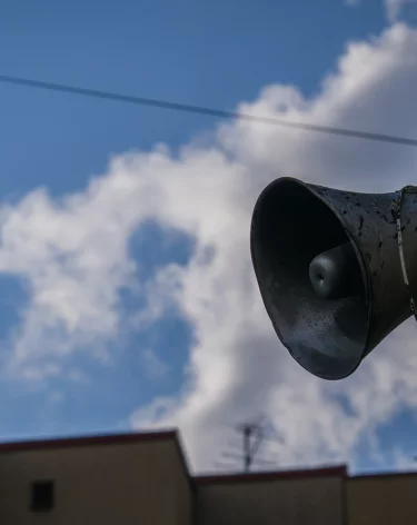 Фото: А42.RU