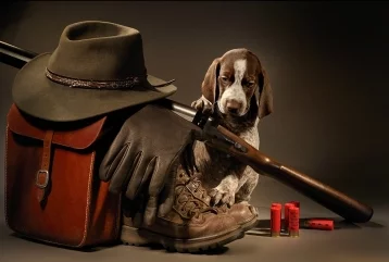 Фото: В США пёс подстрелил хозяина во время охоты 1