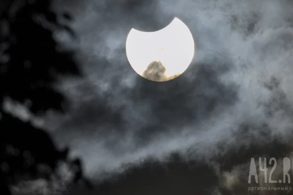 Силы ПВО за ночь сбили более 250 БПЛА над территорией России