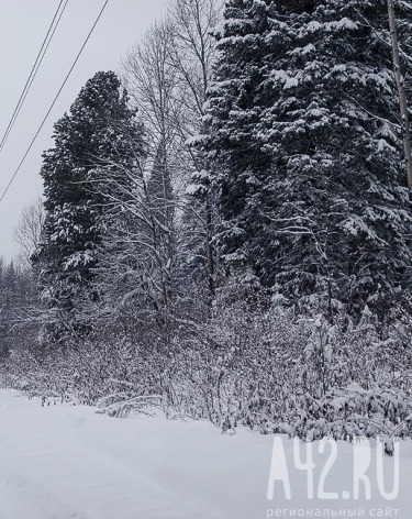 Кузбасские синоптики дали прогноз погоды на 22 января