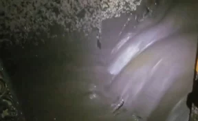 Американец снял на видео момент затопления собственного дома селевым потоком