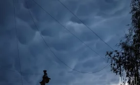 Синоптики рассказали о силе штормового ветра в Кемерове