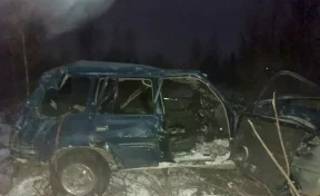 Шесть человек пострадали после опрокидывания машины в кювет в Красноярском крае