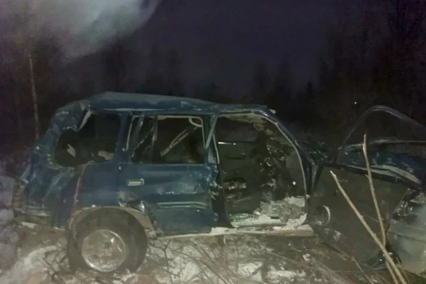 Шесть человек пострадали после опрокидывания машины в кювет в Красноярском крае