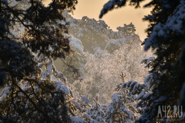 Настасьин день: приметы на 4 января