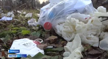 Фото: В Кемерове выясняют происхождение огромной свалки медицинских отходов 1