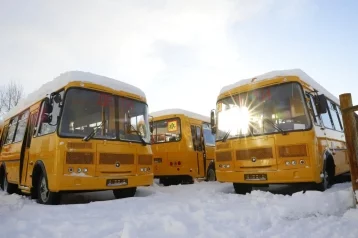 Фото: Кузбасский автопарк пополнился 70 новыми школьными автобусами 1
