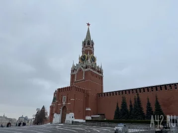 Фото: Неизвестный мужчина пытался поджечь себя на Красной площади в Москве: его скрутила полиция 1