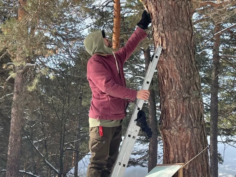 Фото: В Кемерове экологи и волонтёры построили домики для птиц в Рудничном бору 1