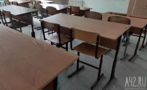В Кузбассе почти 400 детей перевели на дистант из-за ОРВИ
