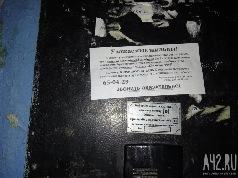 Фото:  «Газета Кемерова»