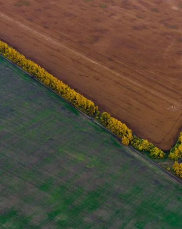 Фото: A42.RU