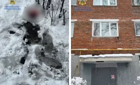 5-летний мальчик остался без присмотра матери и выпал из окна в Москве