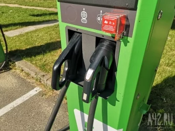 Фото: В автомобиле Tesla заживо сгорели мужчина и двое детей 1