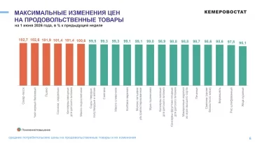 Инфографика: Кемеровостат