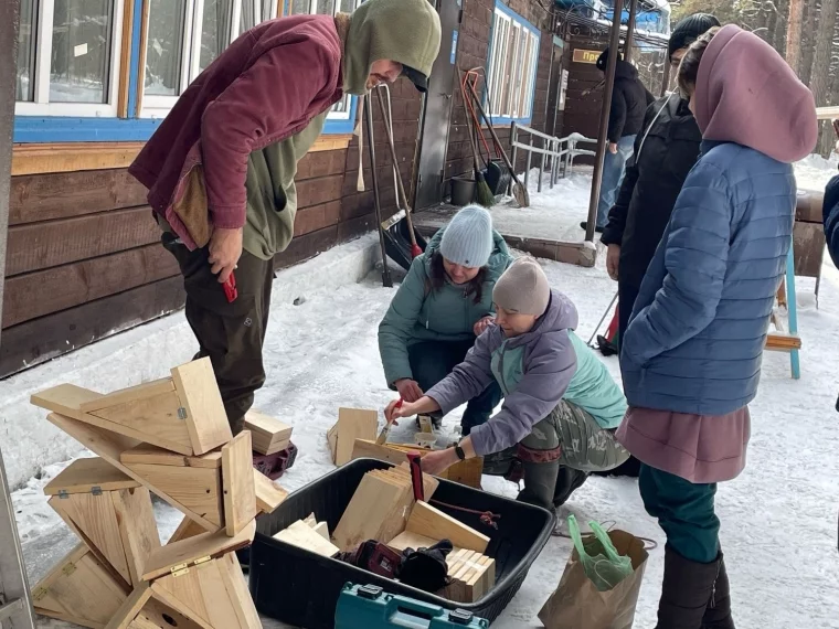 Фото: В Кемерове экологи и волонтёры построили домики для птиц в Рудничном бору 2