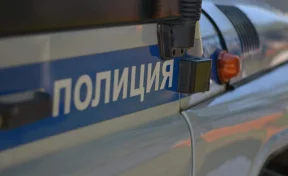В Кузбассе задержали находившегося в розыске похитителя