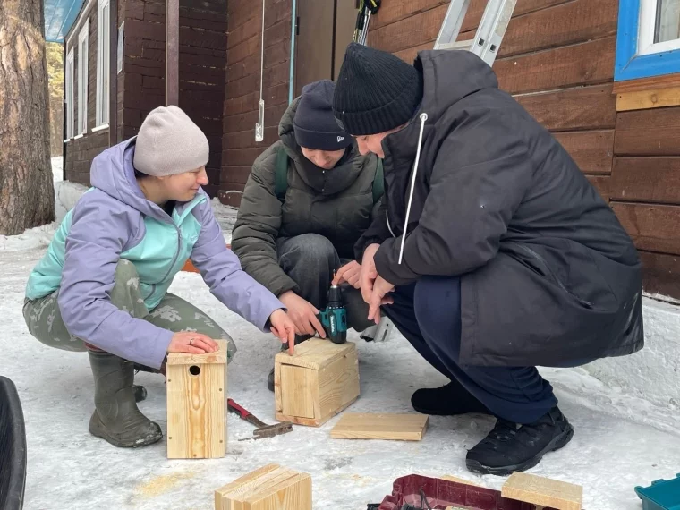 Фото: В Кемерове экологи и волонтёры построили домики для птиц в Рудничном бору 3