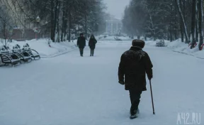 В Новосибирской области таксист-мошенник оставил без жилья и денег 88-летнего учёного