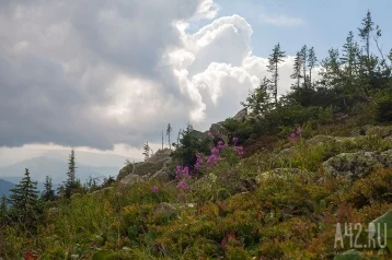 Фото: В Дагестане с помощью дрона нашли живым пропавшего двухлетнего мальчика 1