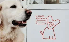 В магазин — с собакой: кузбассовцы смогут делать покупки в салонах связи вместе с домашними питомцами