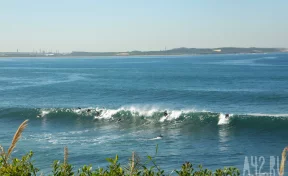 В Сиднее закрыли десятки пляжей после нападения акул на сёрферов