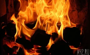 В Сибири школьник спас пятерых братьев и сестёр во время пожара 