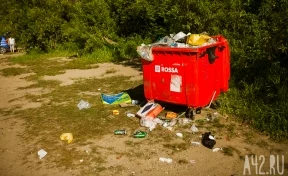 Кемеровчанин пожаловался мэру на горы мусора рядом с ТЦ