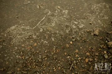 Фото: В Кузбассе вновь выявлены случаи загрязнения рек золотодобытчиками 1