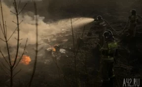 «Любаровка горит, караул»: кузбассовцы сообщают о масштабном пожаре в деревне под Юргой
