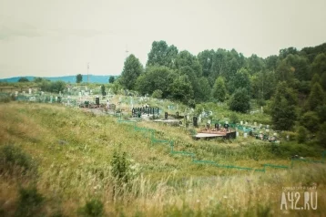 Фото: Вандалы разграбили кладбище в Кемерове 1