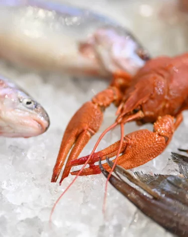 Рыбный форум: интерес россиян к аквакультурному туризму вырос на 20%