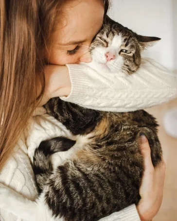 Фото: Возьми кота домой: как без вложений сделать успешный аккаунт в Instagram и пристраивать бездомных животных 6