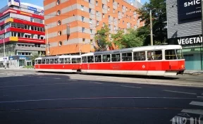 В Белграде весь общественный транспорт стал бесплатным для жителей