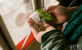 В Тамбове кондуктор заставила школьницу выпрашивать деньги на проезд у пассажиров