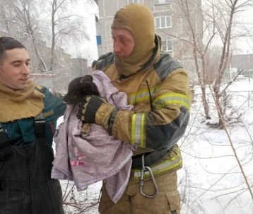 Фото: В Кузбассе спасли щенка, застрявшего под трансформаторной будкой 1