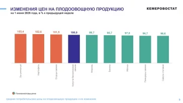 Фото: Кемеровостат: в Кузбассе за неделю цены на яйца упали почти на 5% 1