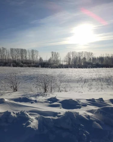 Фото: Сибирское межрегиональное управление Россельхознадзора