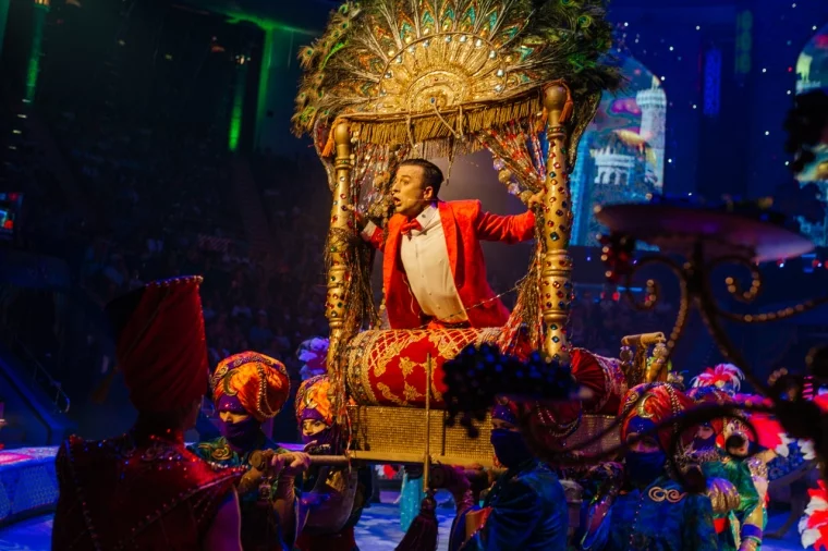 Фото: Аншлаг с первых дней: в Кемеровском цирке состоялась премьера шоу Гии Эрадзе «Песчаная сказка» 9