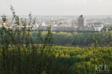 Фото: Кемерово включили в десятку самых зелёных городов России 1